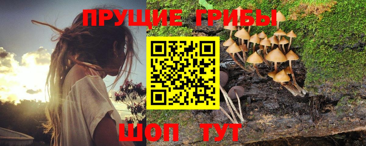 Галлюциногенные грибы мицелий Унеча