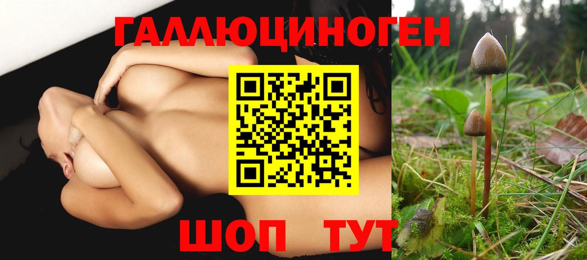 Унеча  Галлюциногенные грибы мицелий  купить закладку  Вход с VPN 